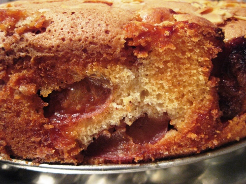 apple cake side view
